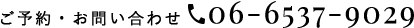 06-6537-9029